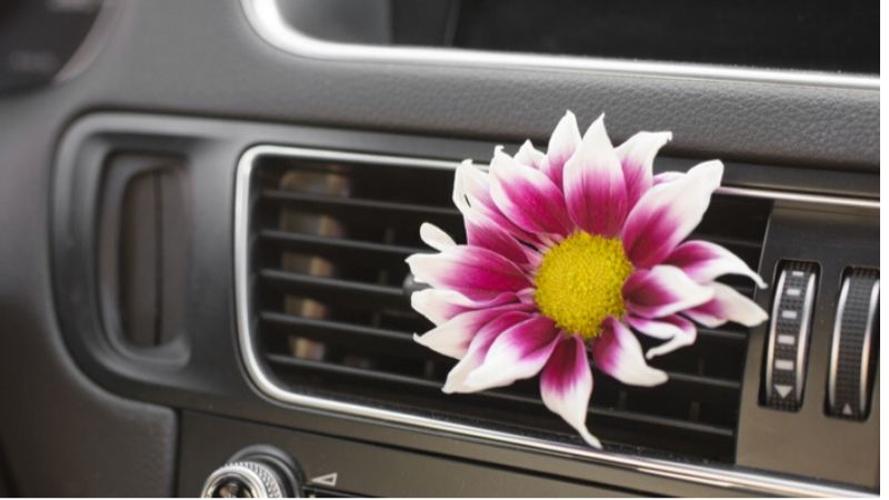 free air conditioning check